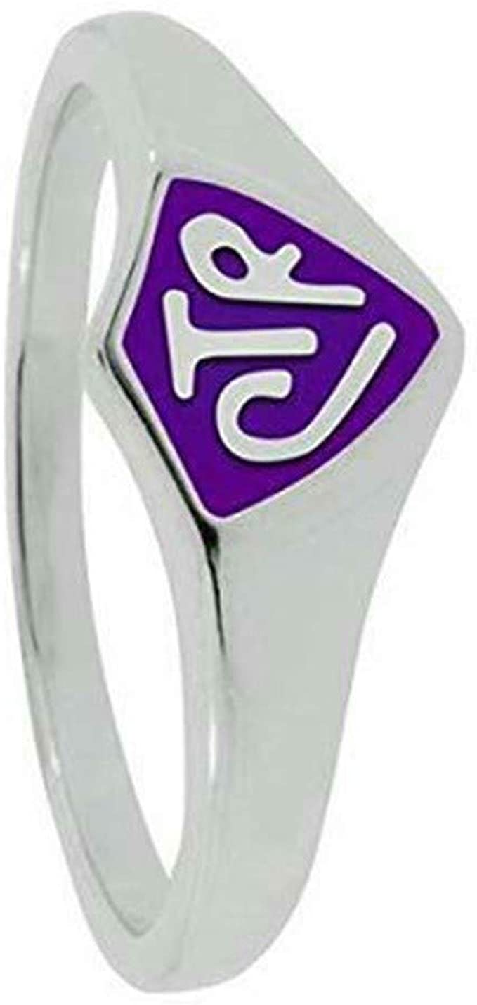 Q001PR Size 4 - 9 Stainless Steel Purple CTR Ring Mormon LDS Unisex One Moment In Time